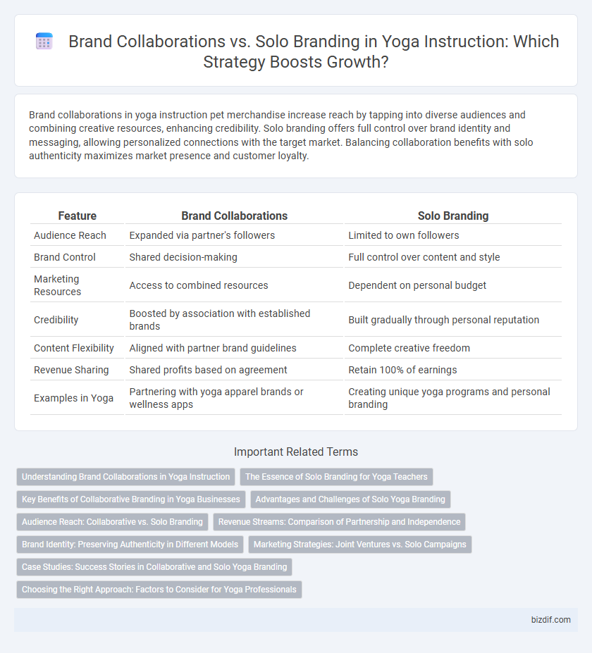 Brand Collaborations vs. Solo Branding in Yoga Instruction: Which Strategy Boosts Growth?