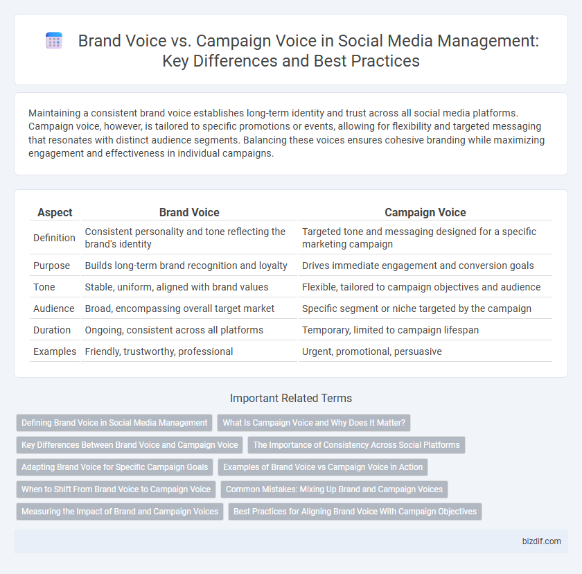 Brand Voice vs. Campaign Voice in Social Media Management: Key Differences and Best Practices