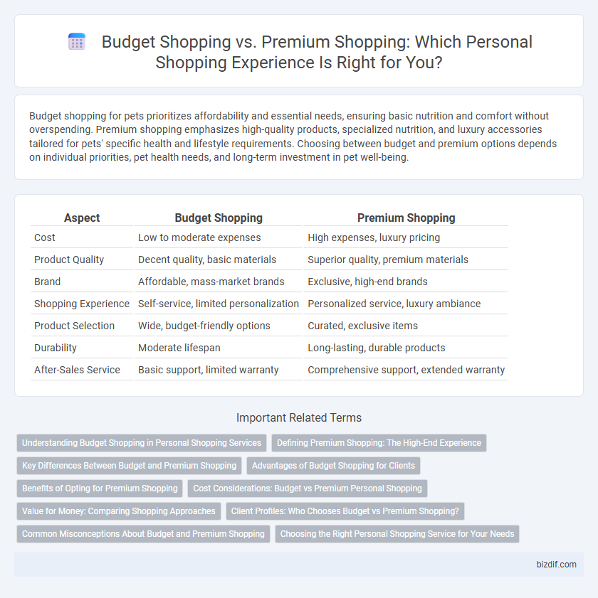 Budget Shopping vs. Premium Shopping: Which Personal Shopping Experience Is Right for You?