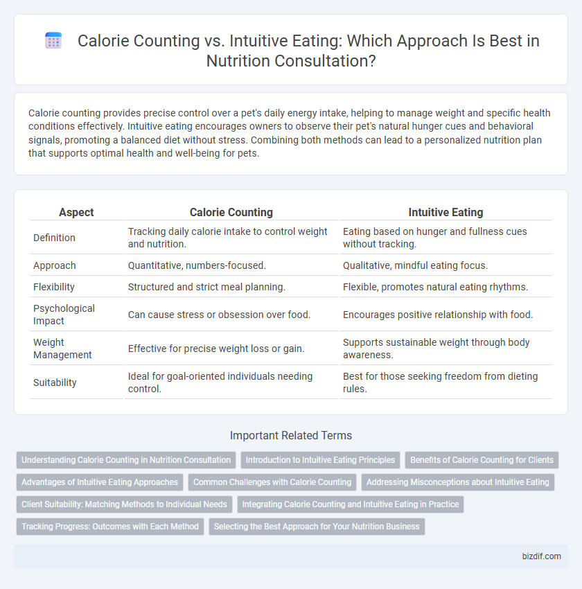 Calorie Counting vs. Intuitive Eating: Which Approach Is Best in Nutrition Consultation?