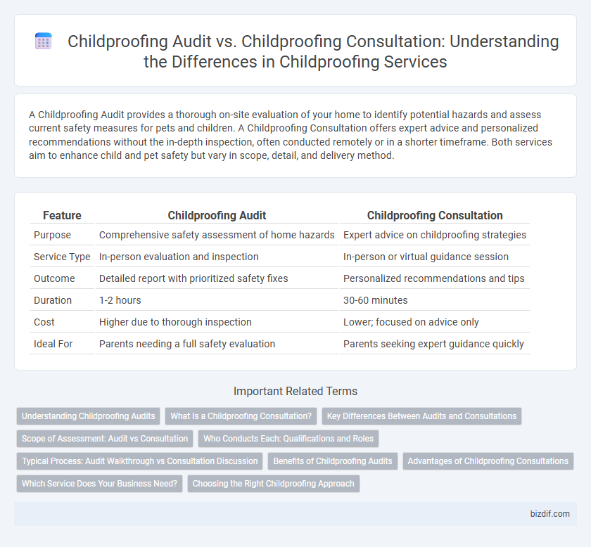 Childproofing Audit vs. Childproofing Consultation: Understanding the Differences in Childproofing Services