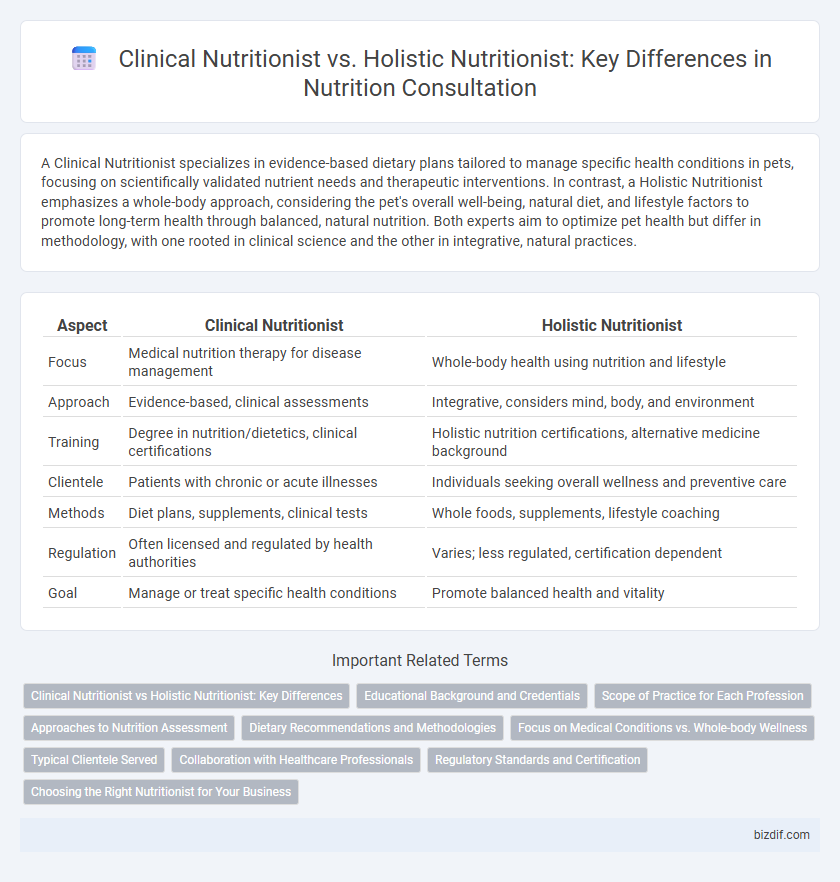 Clinical Nutritionist vs. Holistic Nutritionist: Key Differences in Nutrition Consultation