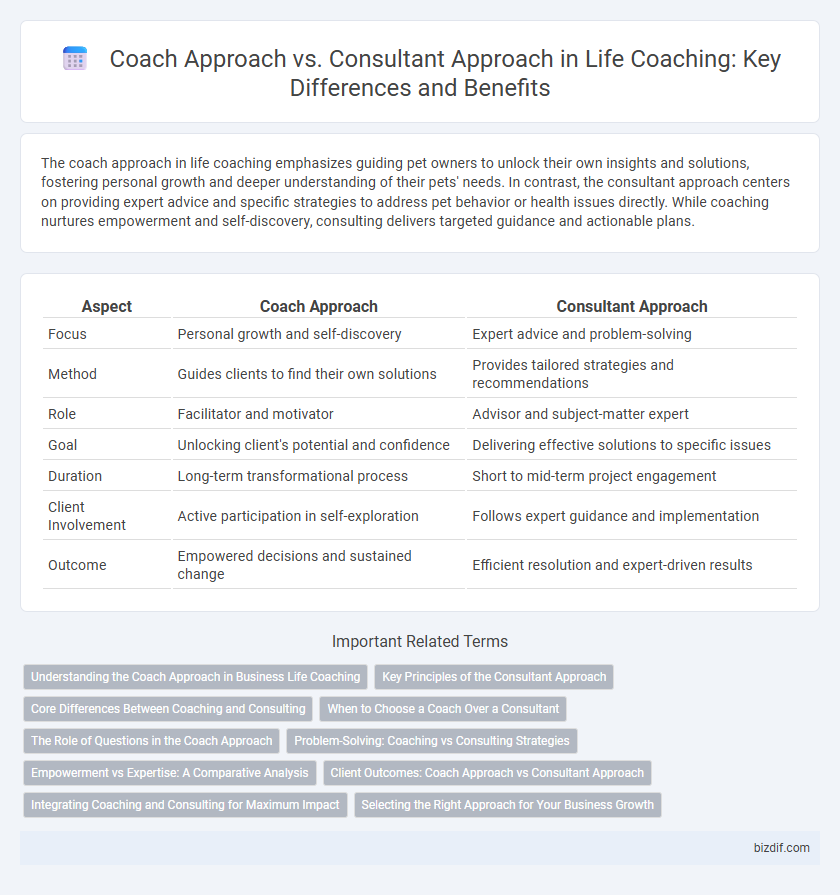 Coach Approach vs. Consultant Approach in Life Coaching: Key Differences and Benefits