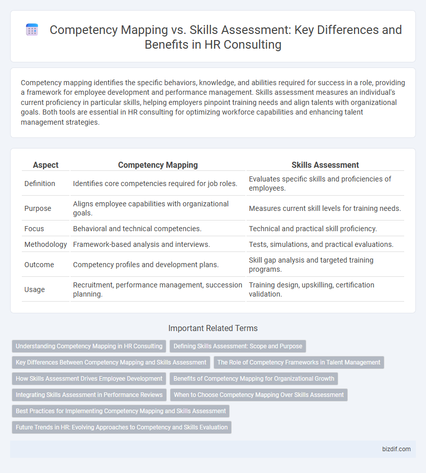 Competency Mapping vs. Skills Assessment: Key Differences and Benefits in HR Consulting