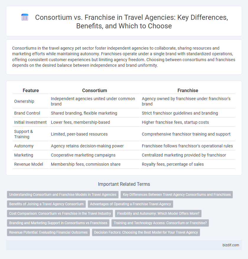 Consortium vs. Franchise in Travel Agencies: Key Differences, Benefits, and Which to Choose
