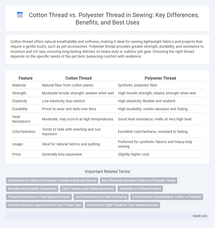 Cotton Thread vs. Polyester Thread in Sewing: Key Differences, Benefits, and Best Uses