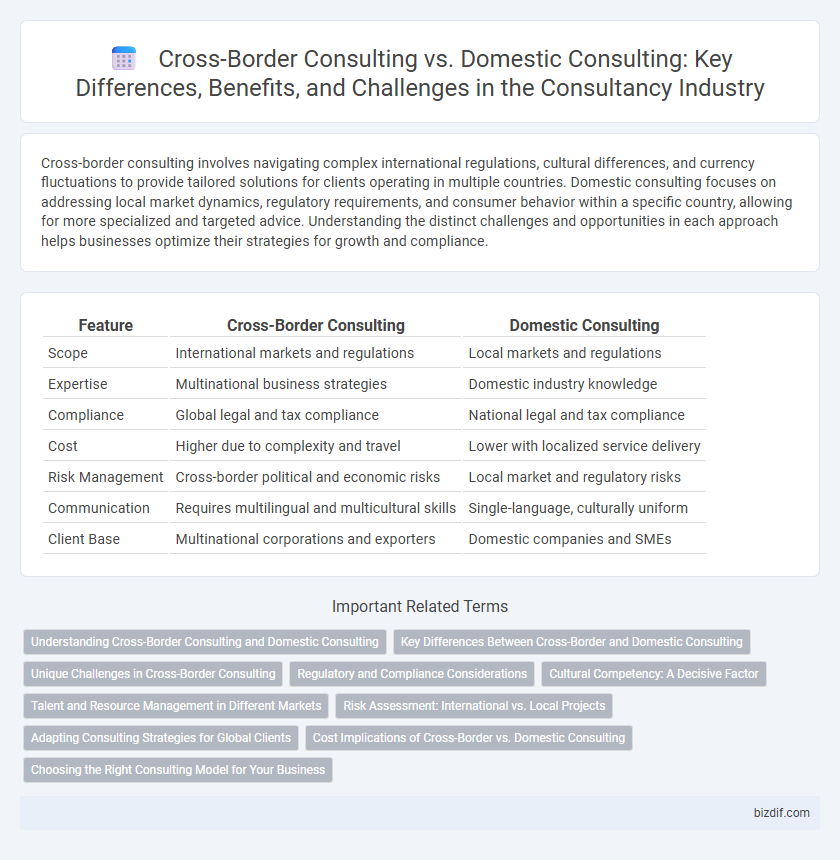 Cross-Border Consulting vs. Domestic Consulting: Key Differences, Benefits, and Challenges in the Consultancy Industry