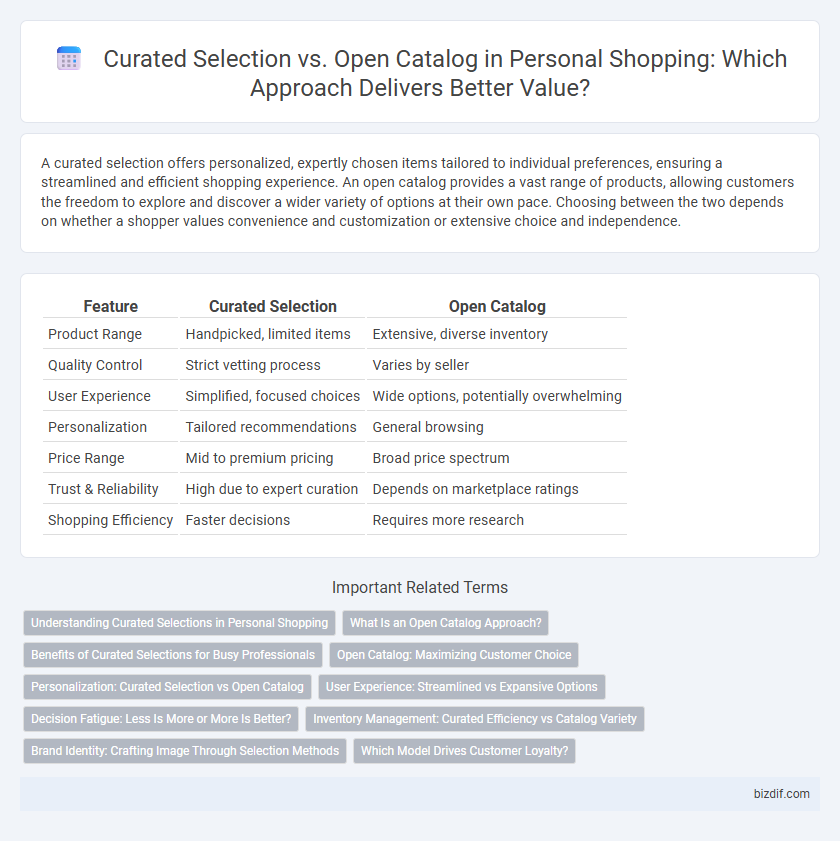 Curated Selection vs. Open Catalog in Personal Shopping: Which Approach Delivers Better Value?