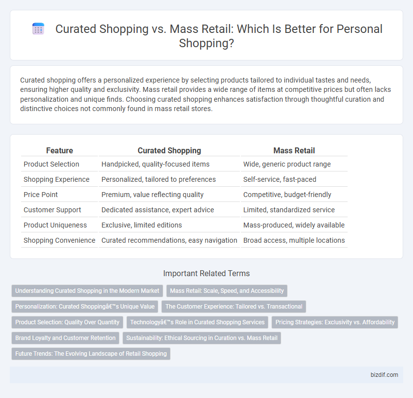 Curated Shopping vs. Mass Retail: Which Is Better for Personal Shopping?