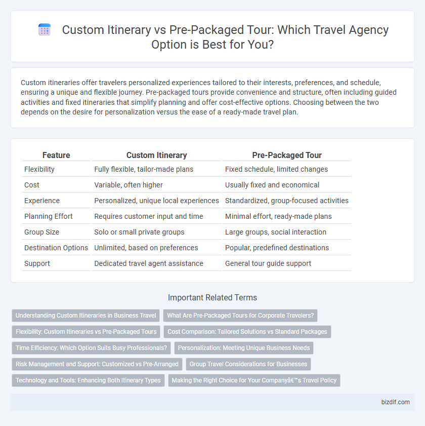 Custom Itinerary vs Pre-Packaged Tour: Which Travel Agency Option is Best for You?
