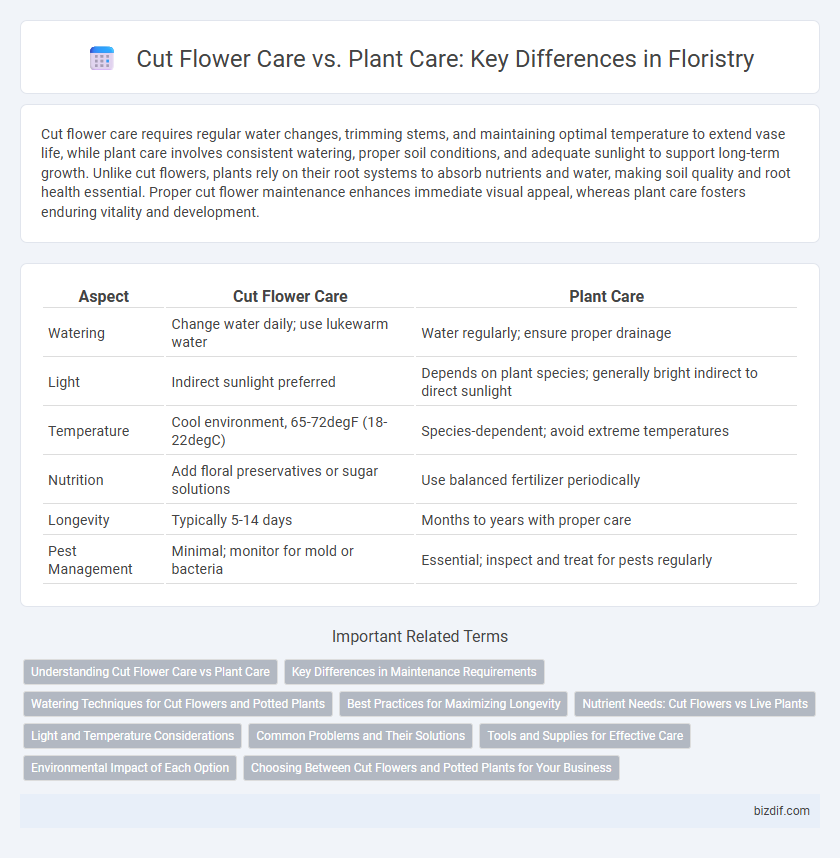 Cut Flower Care vs. Plant Care: Key Differences in Floristry
