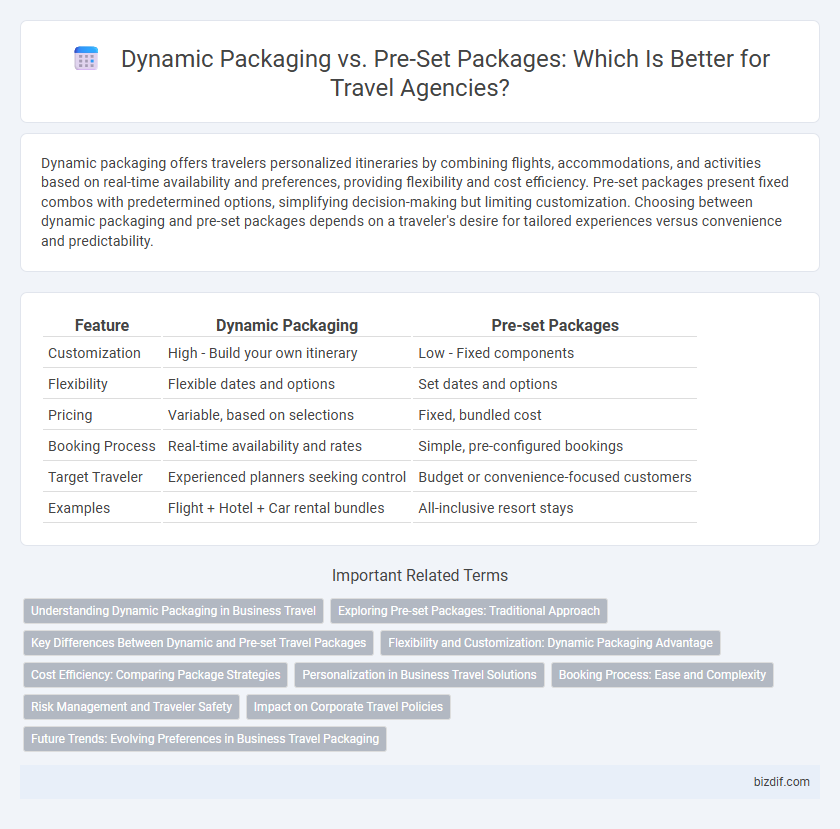 Dynamic Packaging vs. Pre-Set Packages: Which Is Better for Travel Agencies?