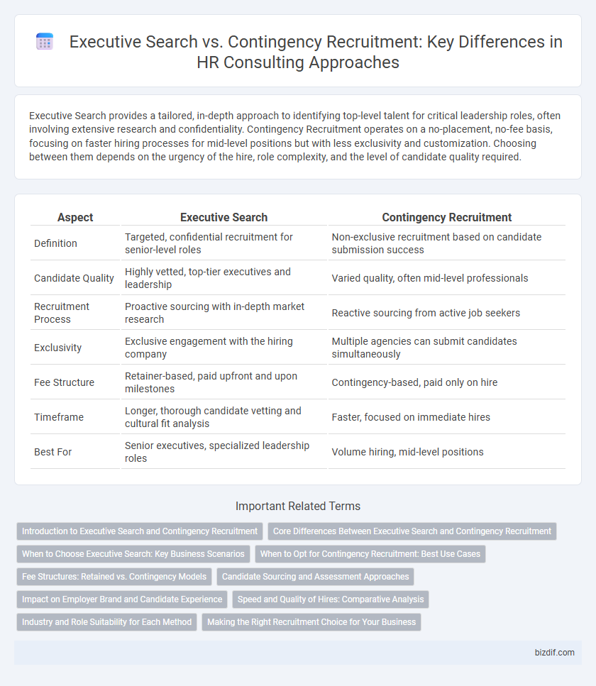 Executive Search vs. Contingency Recruitment: Key Differences in HR Consulting Approaches