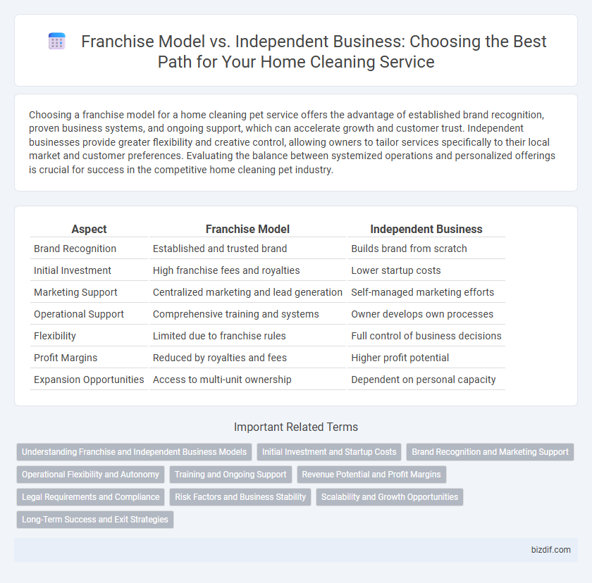 Franchise Model vs. Independent Business: Choosing the Best Path for Your Home Cleaning Service