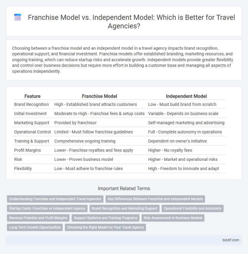 Franchise Model vs. Independent Model: Which is Better for Travel Agencies?