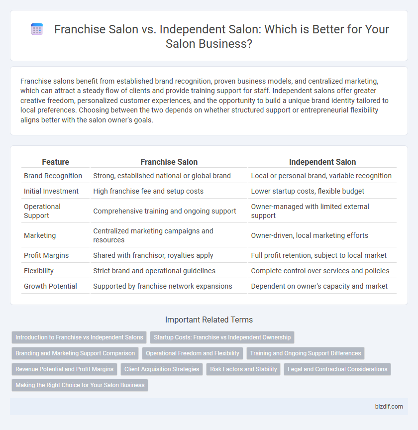 Franchise Salon vs. Independent Salon: Which is Better for Your Salon Business?