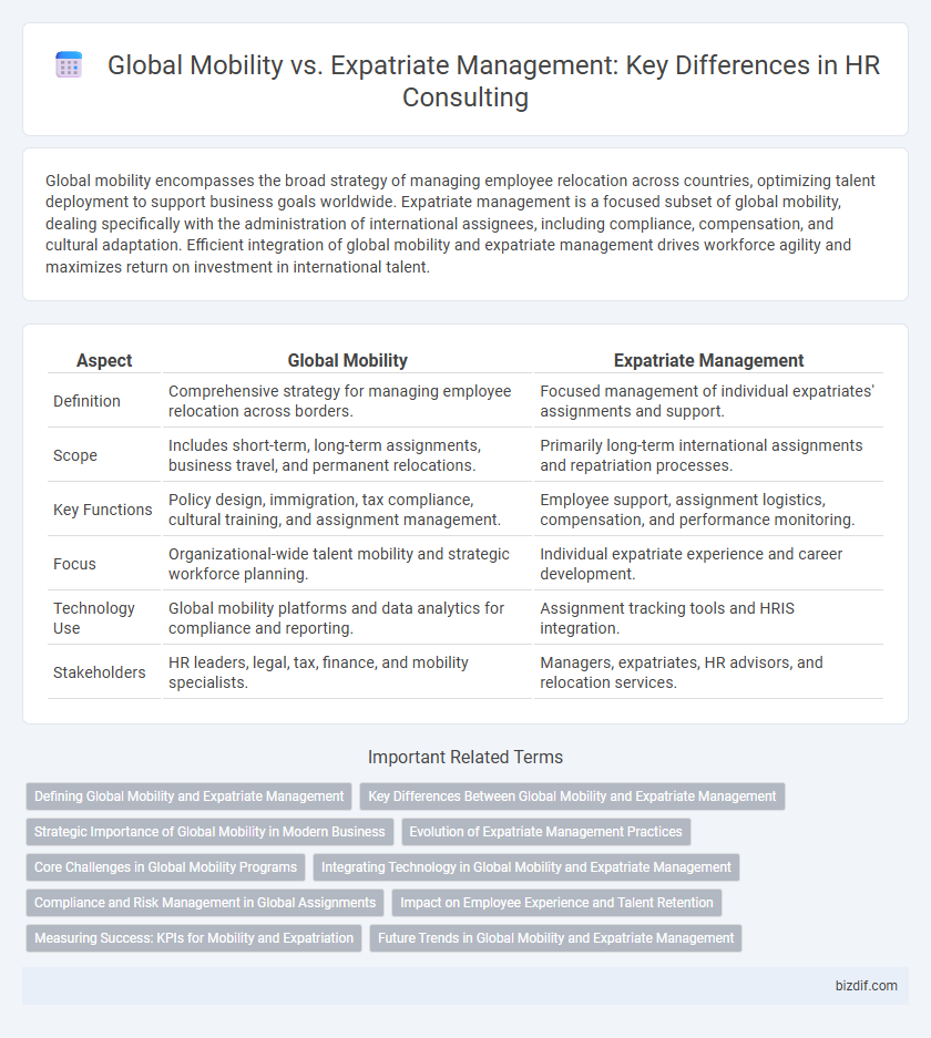 Global Mobility vs. Expatriate Management: Key Differences in HR Consulting