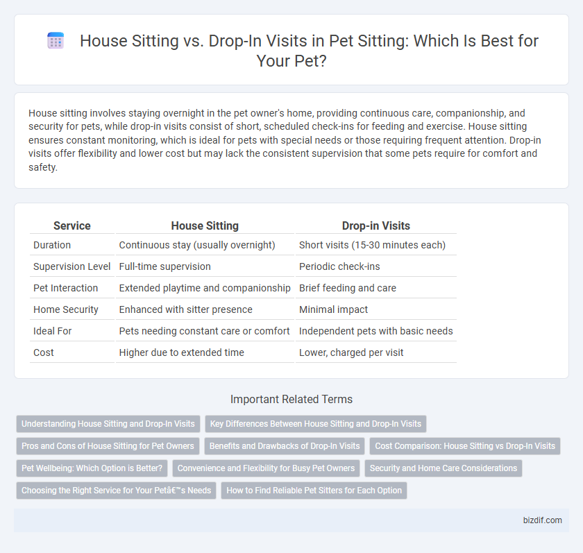 House Sitting vs. Drop-In Visits in Pet Sitting: Which Is Best for Your Pet?