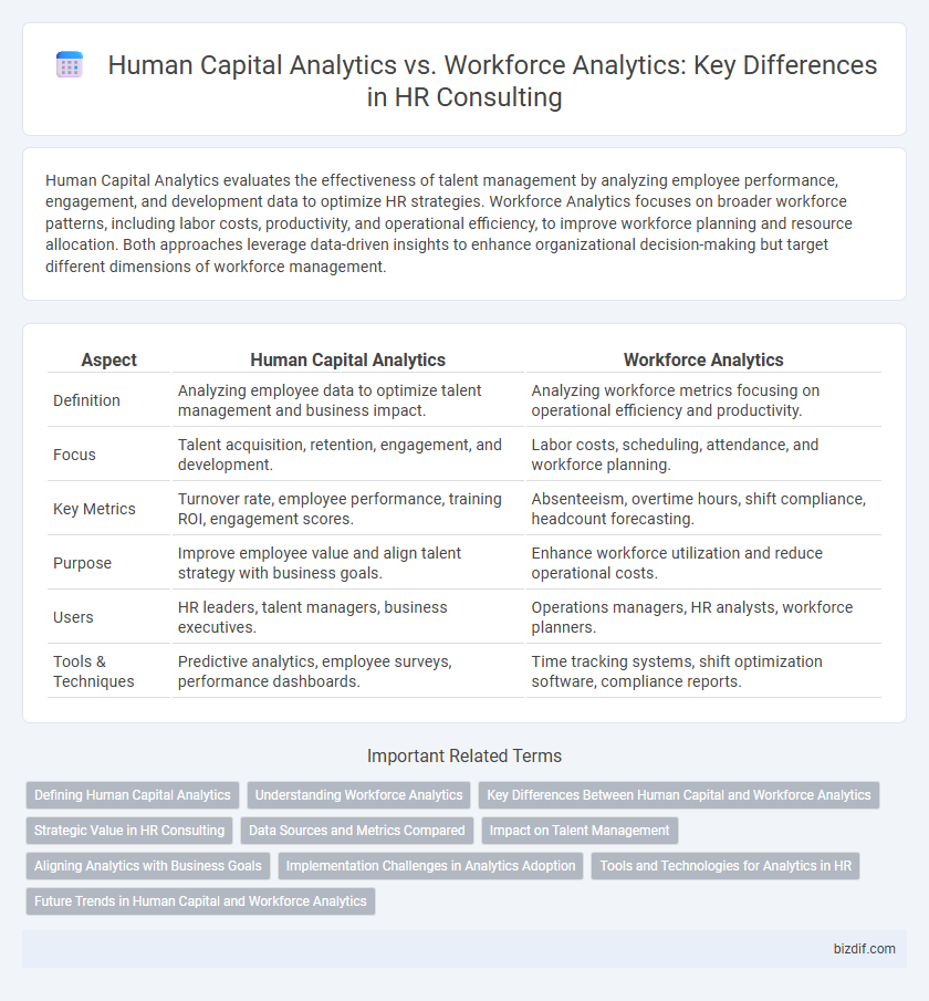 Human Capital Analytics vs. Workforce Analytics: Key Differences in HR Consulting