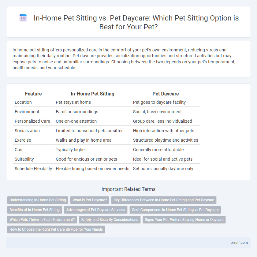 In-Home Pet Sitting vs. Pet Daycare: Which Pet Sitting Option is Best for Your Pet?
