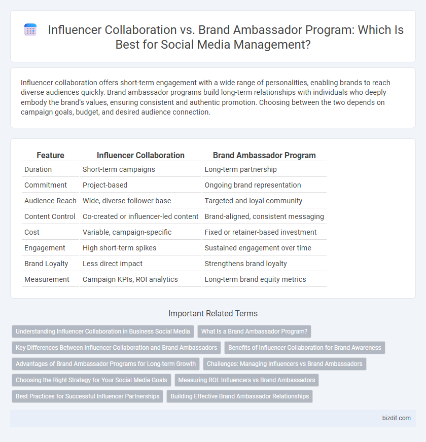 Influencer Collaboration vs. Brand Ambassador Program: Which Is Best for Social Media Management?