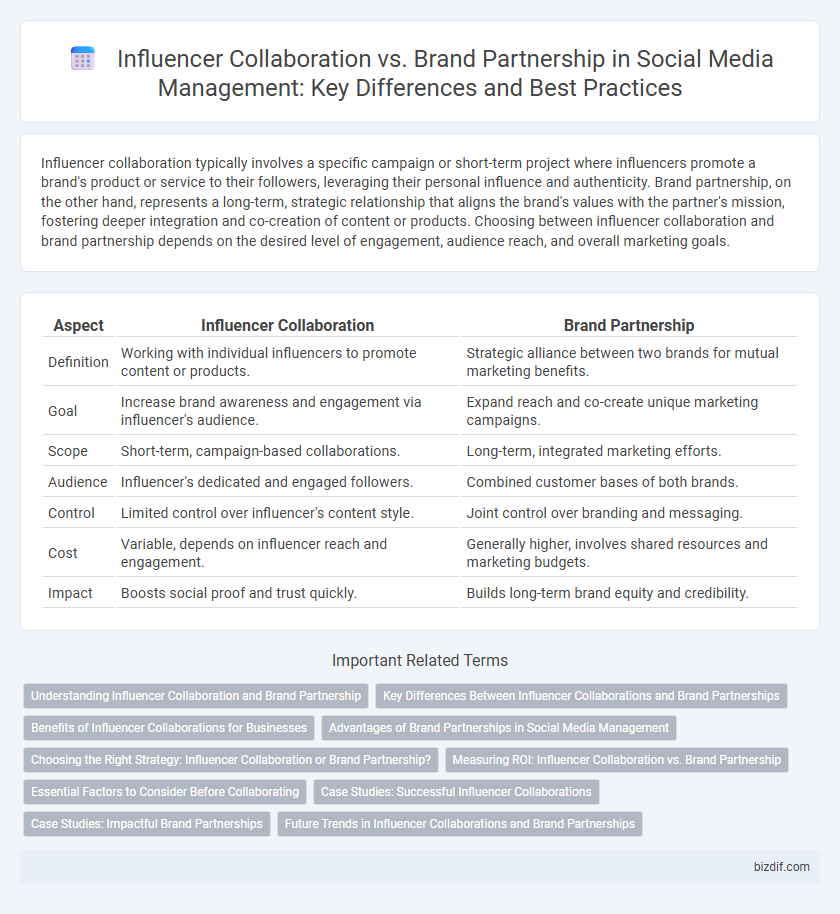 Influencer Collaboration vs. Brand Partnership in Social Media Management: Key Differences and Best Practices