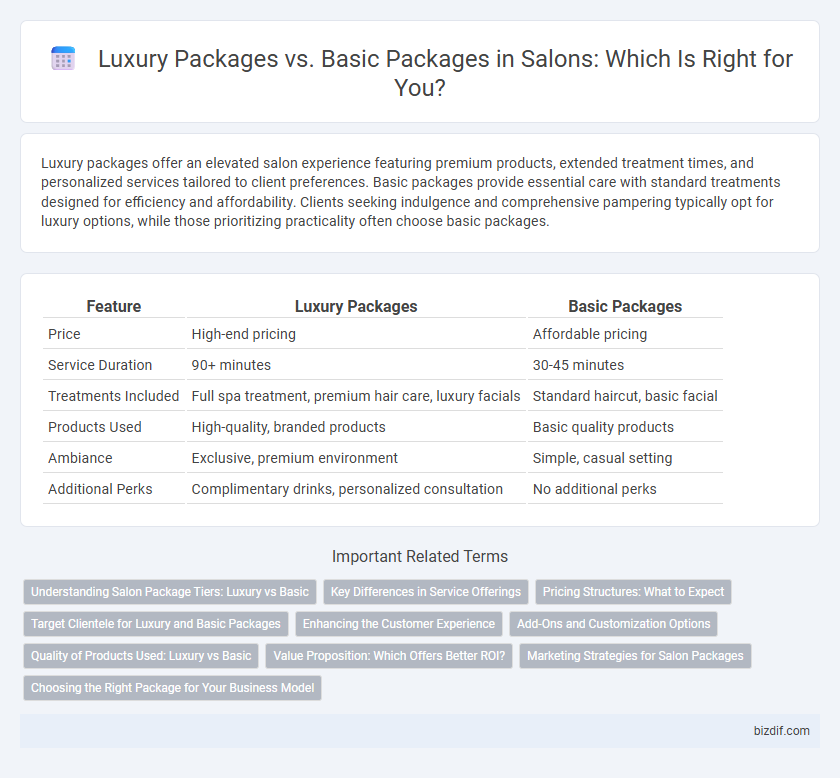 Luxury Packages vs. Basic Packages in Salons: Which Is Right for You?