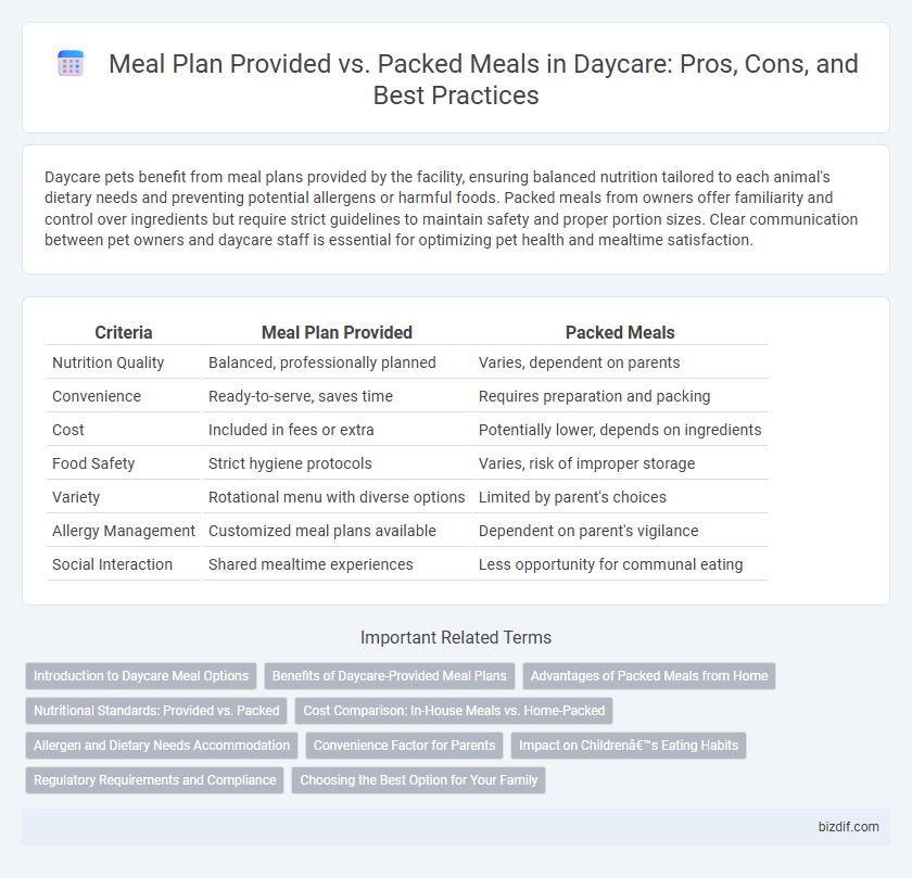 Meal Plan Provided vs. Packed Meals in Daycare: Pros, Cons, and Best Practices