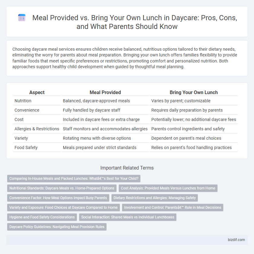 Meal Provided vs. Bring Your Own Lunch in Daycare: Pros, Cons, and What Parents Should Know
