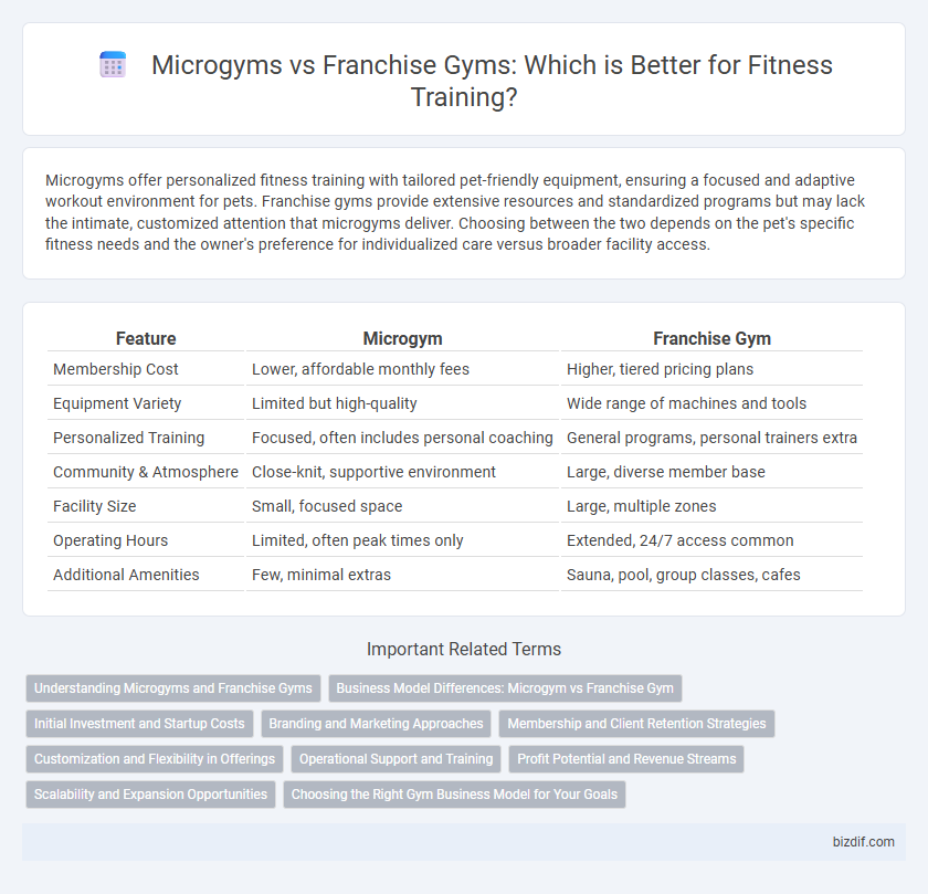 Microgyms vs Franchise Gyms: Which is Better for Fitness Training?