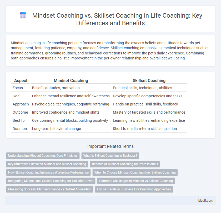 Mindset Coaching vs. Skillset Coaching in Life Coaching: Key Differences and Benefits