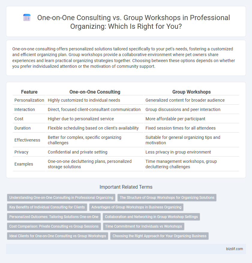One-on-One Consulting vs. Group Workshops in Professional Organizing: Which Is Right for You?
