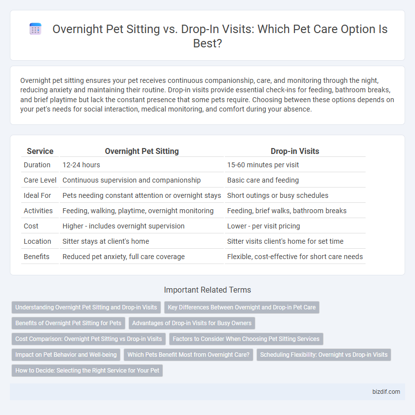 Overnight Pet Sitting vs. Drop-In Visits: Which Pet Care Option Is Best?