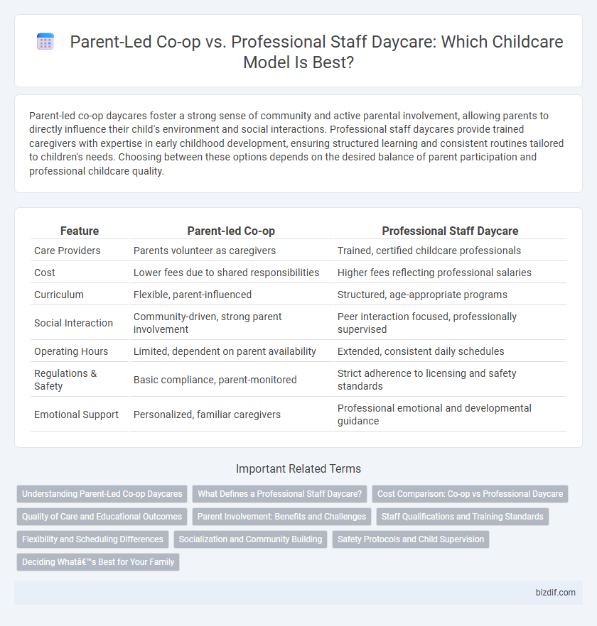 Parent-Led Co-op vs. Professional Staff Daycare: Which Childcare Model Is Best?