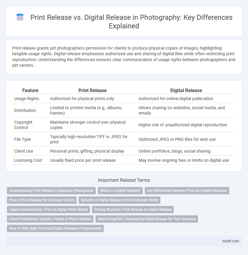 Print Release vs. Digital Release in Photography: Key Differences Explained