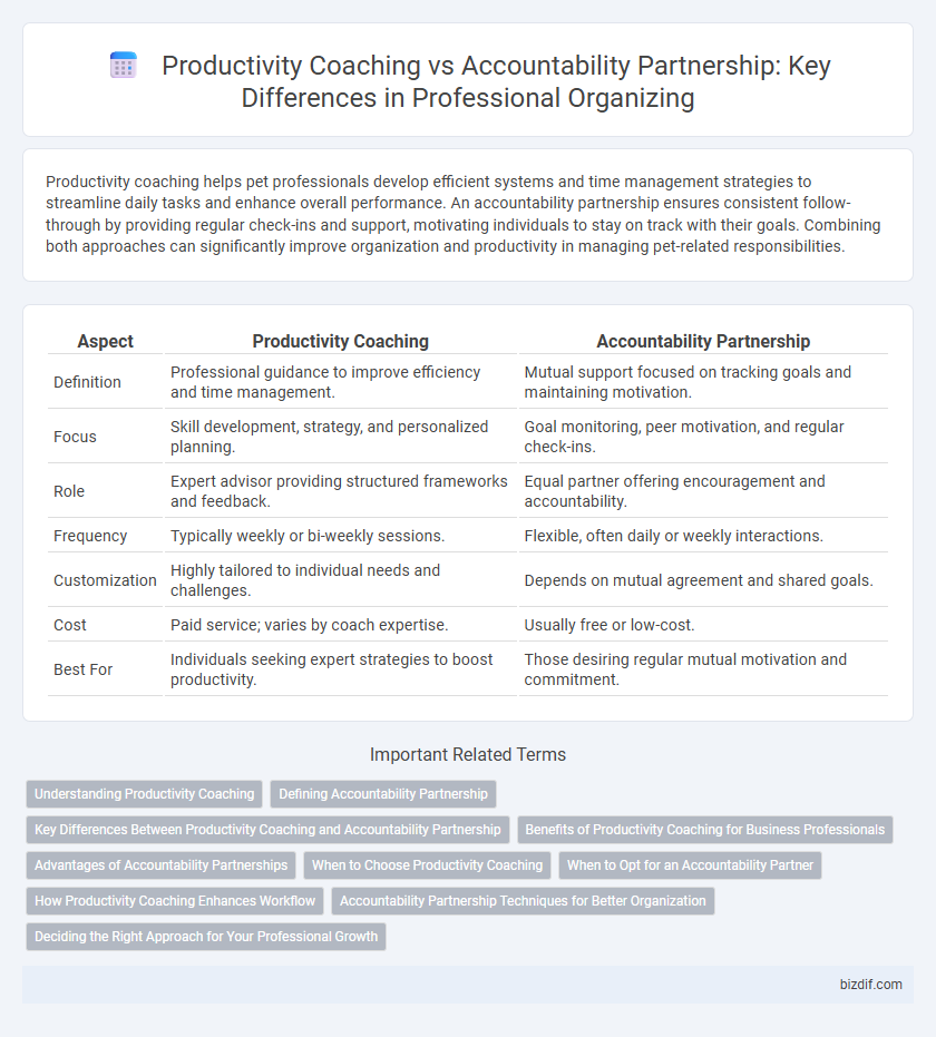 Productivity Coaching vs Accountability Partnership: Key Differences in Professional Organizing