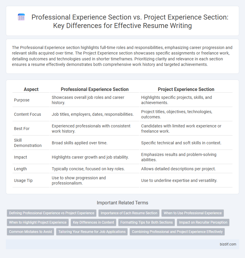Professional Experience Section vs. Project Experience Section: Key Differences for Effective Resume Writing