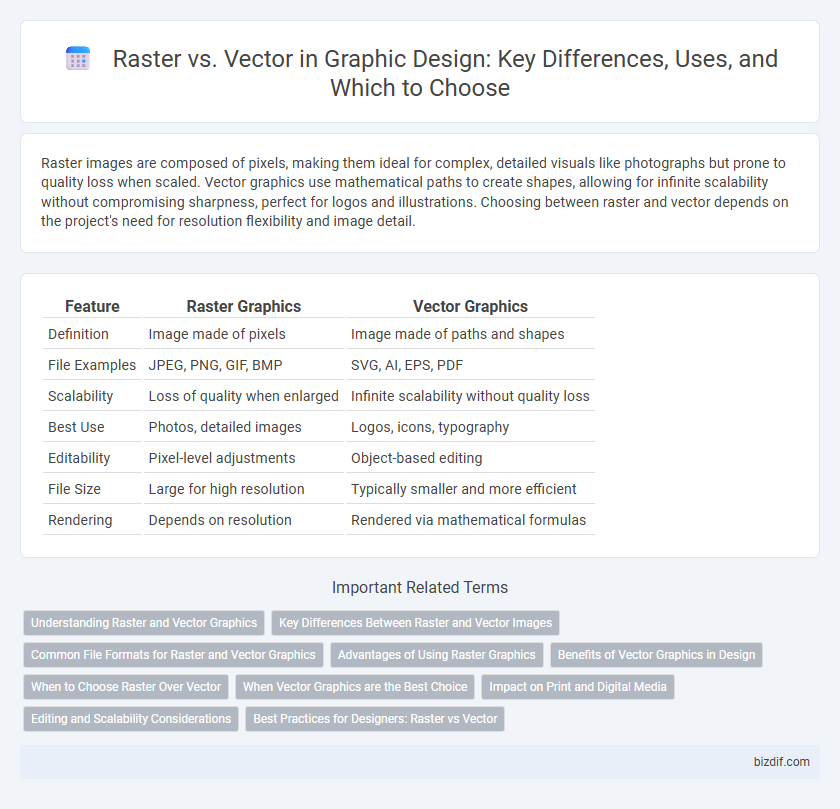 Raster vs. Vector in Graphic Design: Key Differences, Uses, and Which to Choose