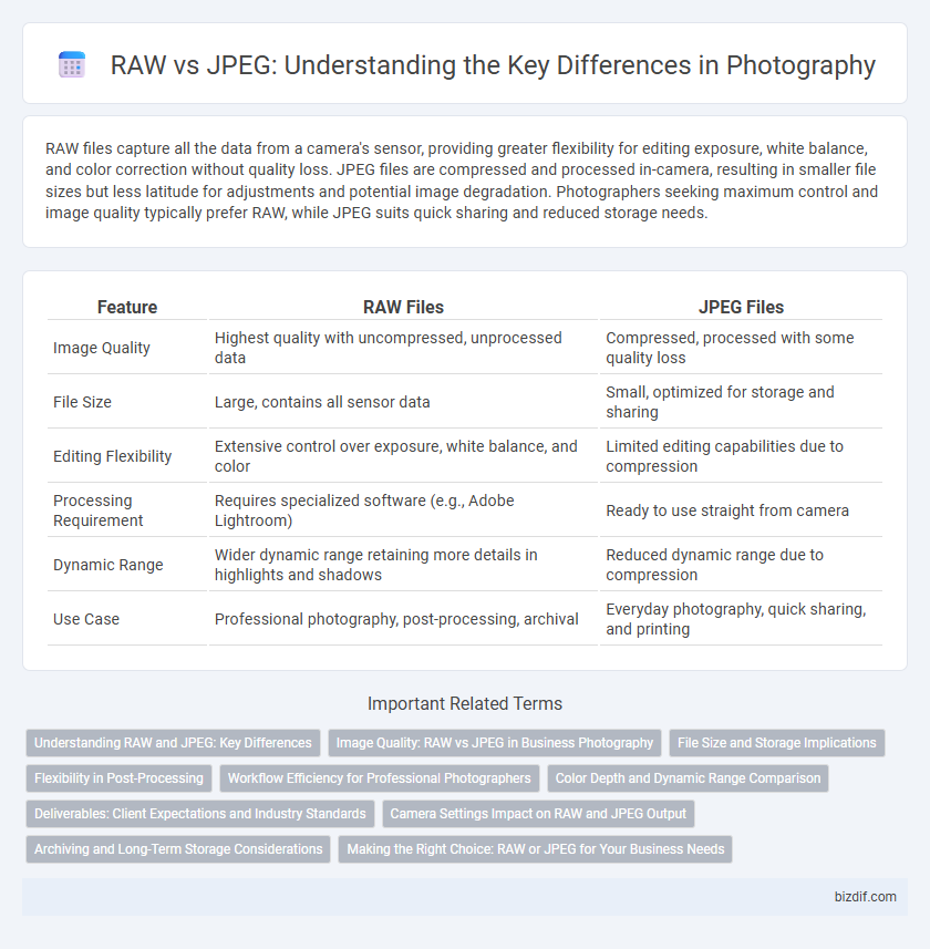 RAW vs JPEG: Understanding the Key Differences in Photography