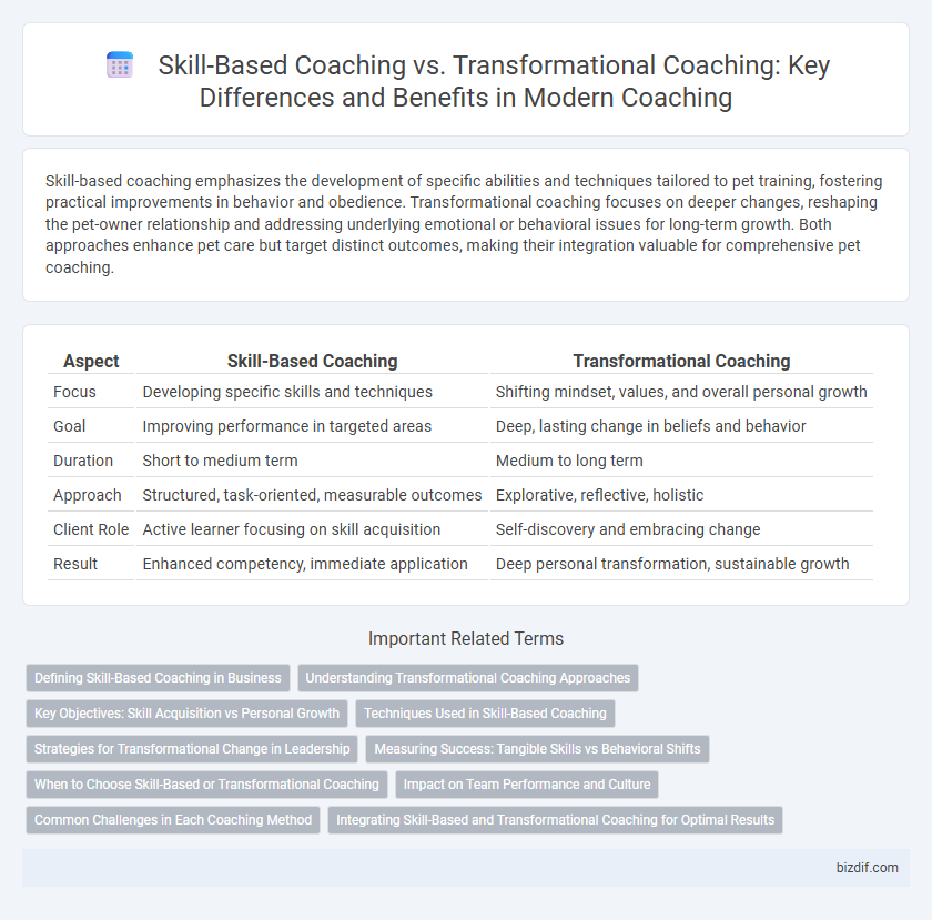 Skill-Based Coaching vs. Transformational Coaching: Key Differences and Benefits in Modern Coaching