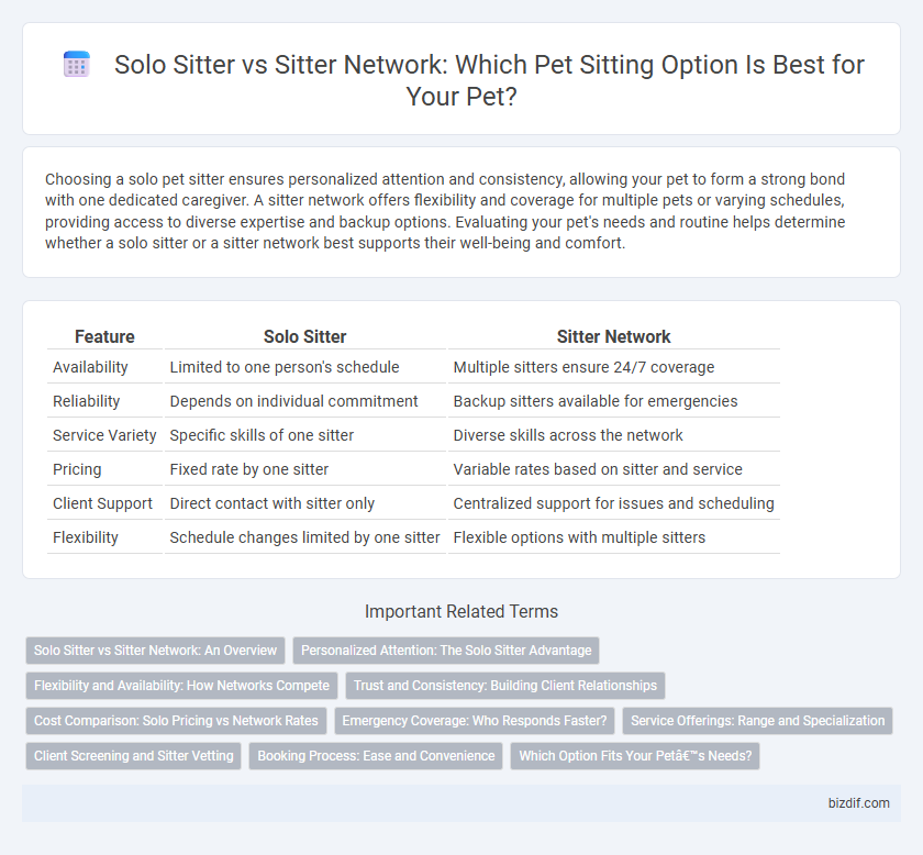 Solo Sitter vs Sitter Network: Which Pet Sitting Option Is Best for Your Pet?