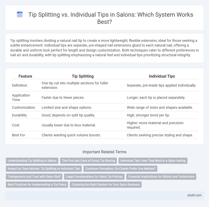 Tip Splitting vs. Individual Tips in Salons: Which System Works Best?