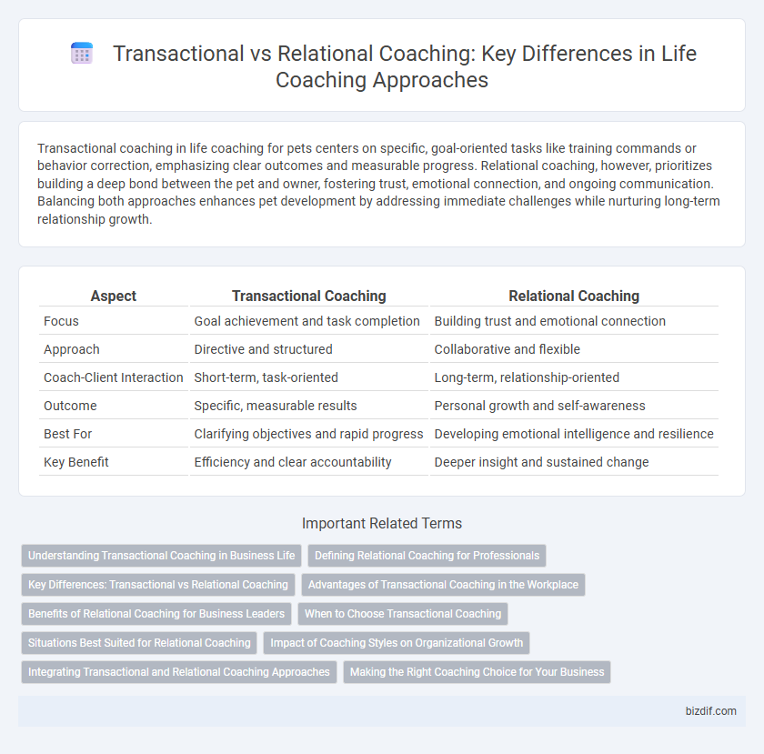 Transactional vs Relational Coaching: Key Differences in Life Coaching Approaches
