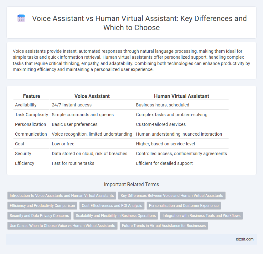 Voice Assistant vs Human Virtual Assistant: Key Differences and Which to Choose