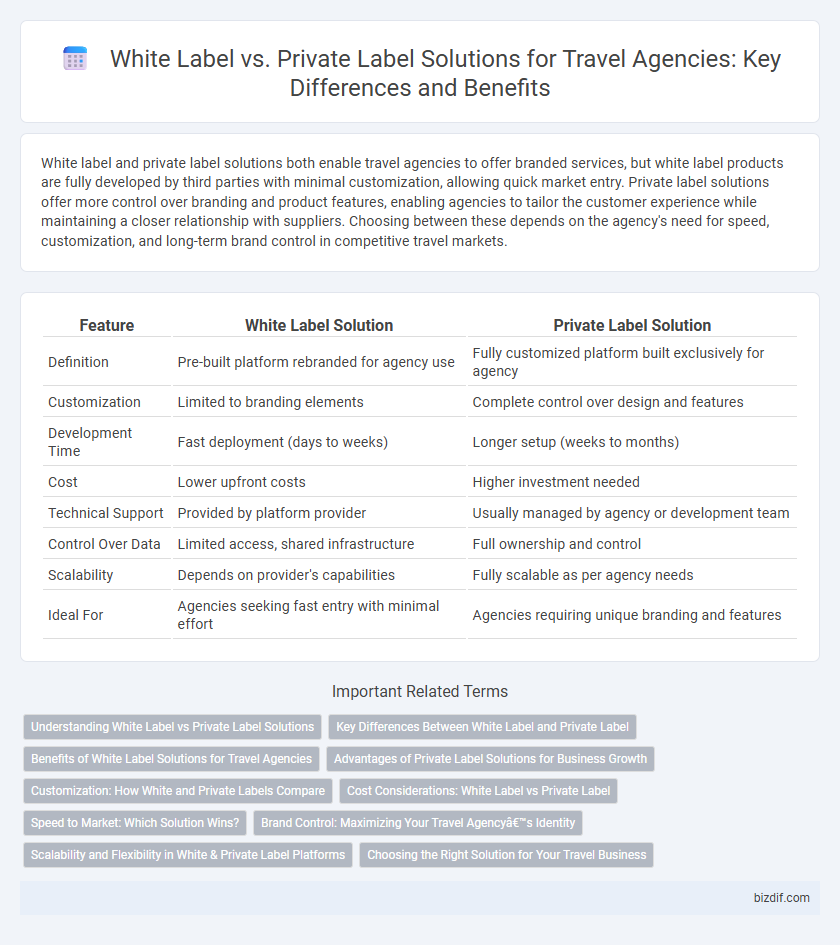 White Label vs. Private Label Solutions for Travel Agencies: Key Differences and Benefits