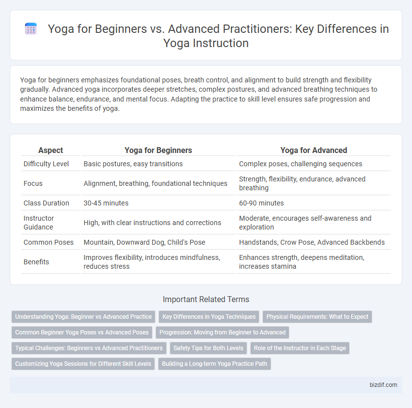 Yoga for Beginners vs. Advanced Practitioners: Key Differences in Yoga Instruction